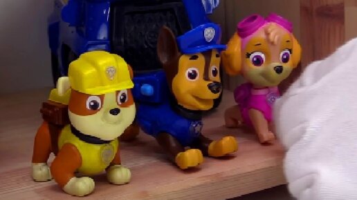 Paw patrol toy store videos