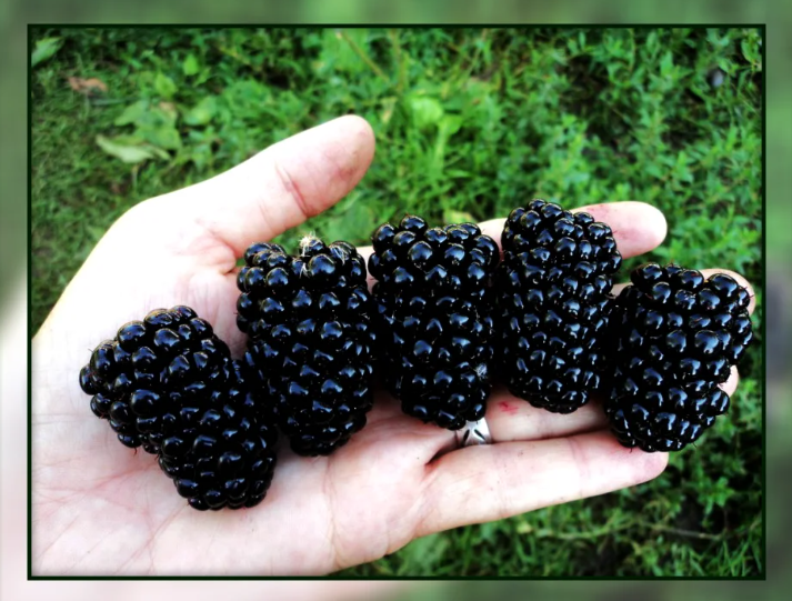 Добавьте описание