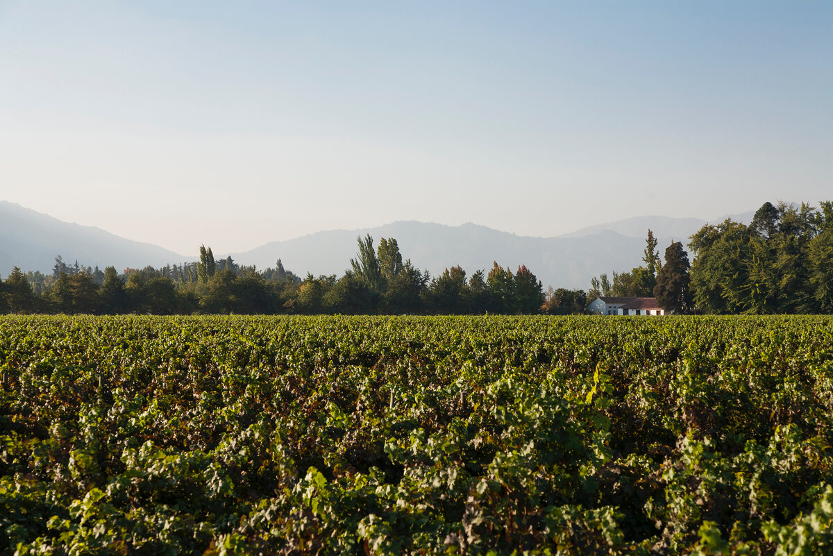 Фото: © Архив SWN