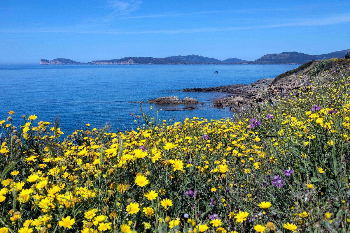 The west coast of the Italian island of Sardinia (остров Сардиния)