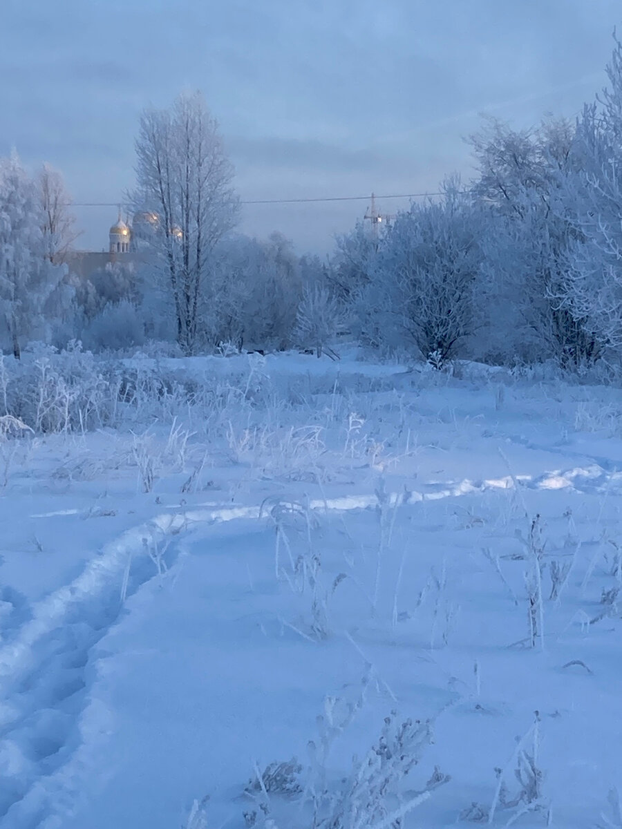 Авторское фото