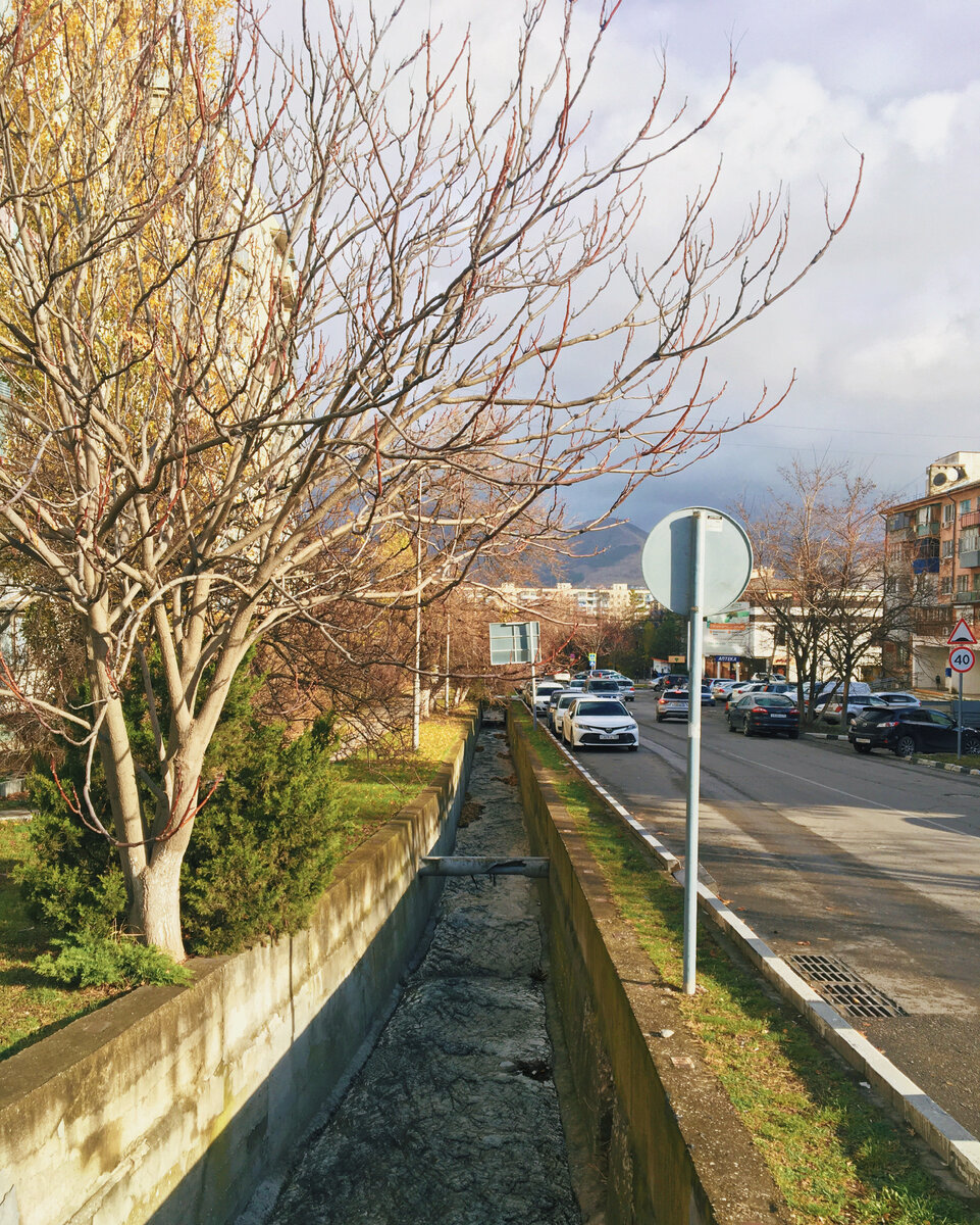 г.Новороссийск, ул.Московская, декабрь 2021г.