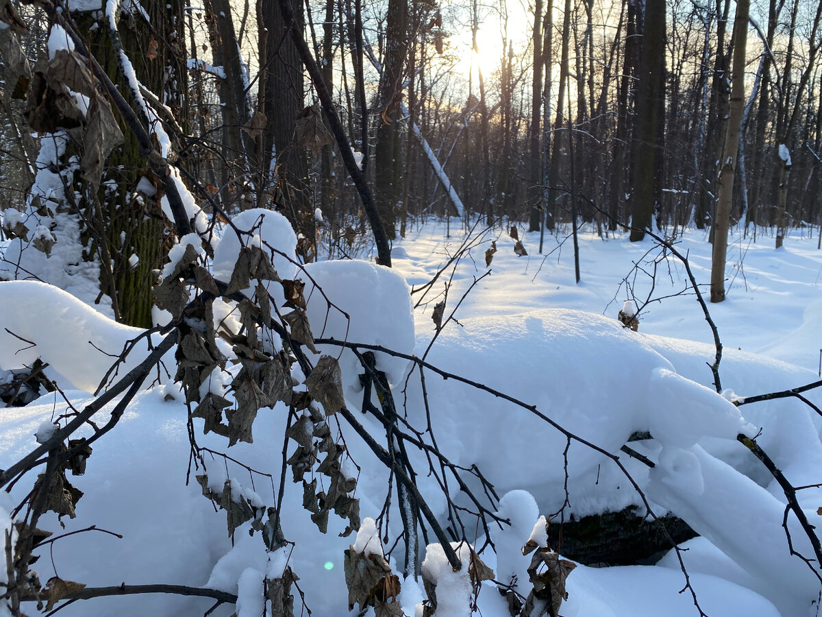 Фото автора...