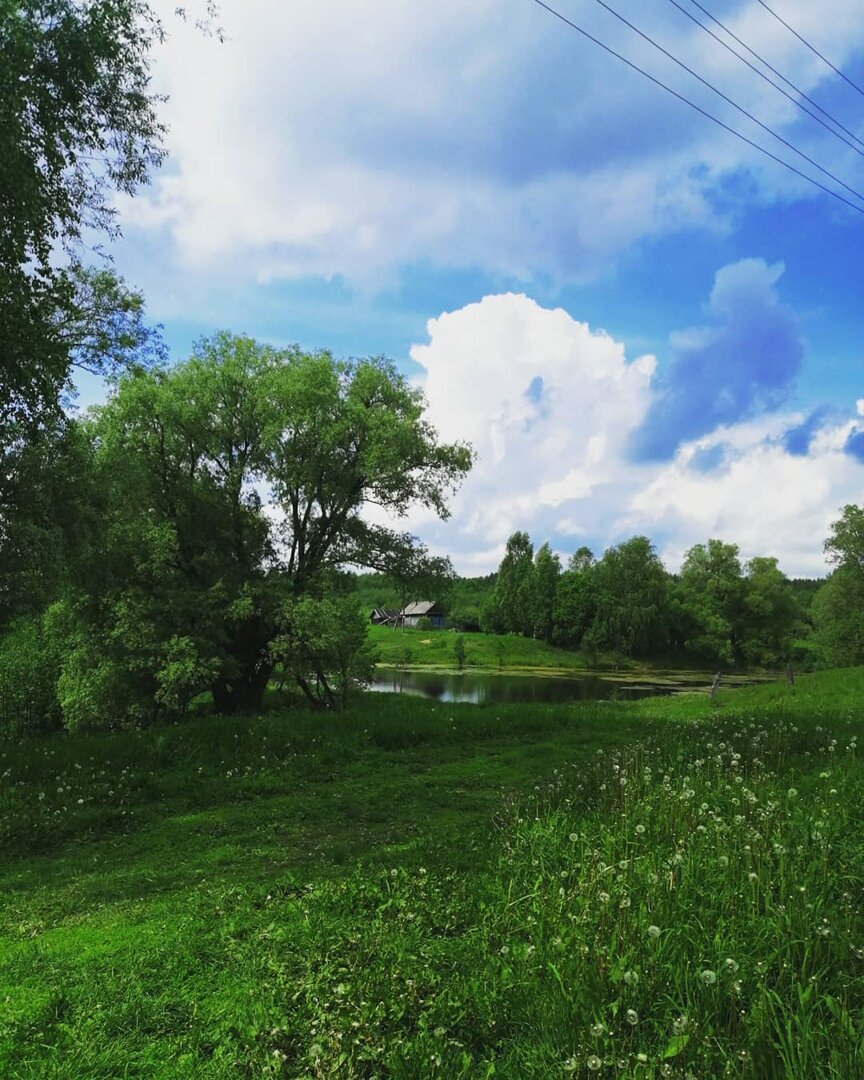 Родной край