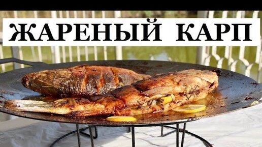 Как приготовить зеркального карпа: рецепты с фото