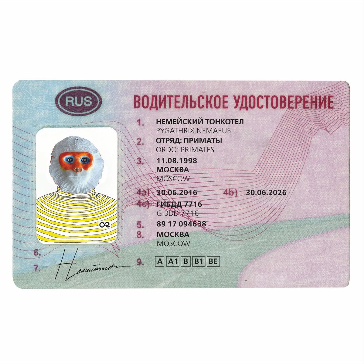 1)«Немейский тонкотел» 19×17×2,5 см.
Охранный статус: Исчезающие