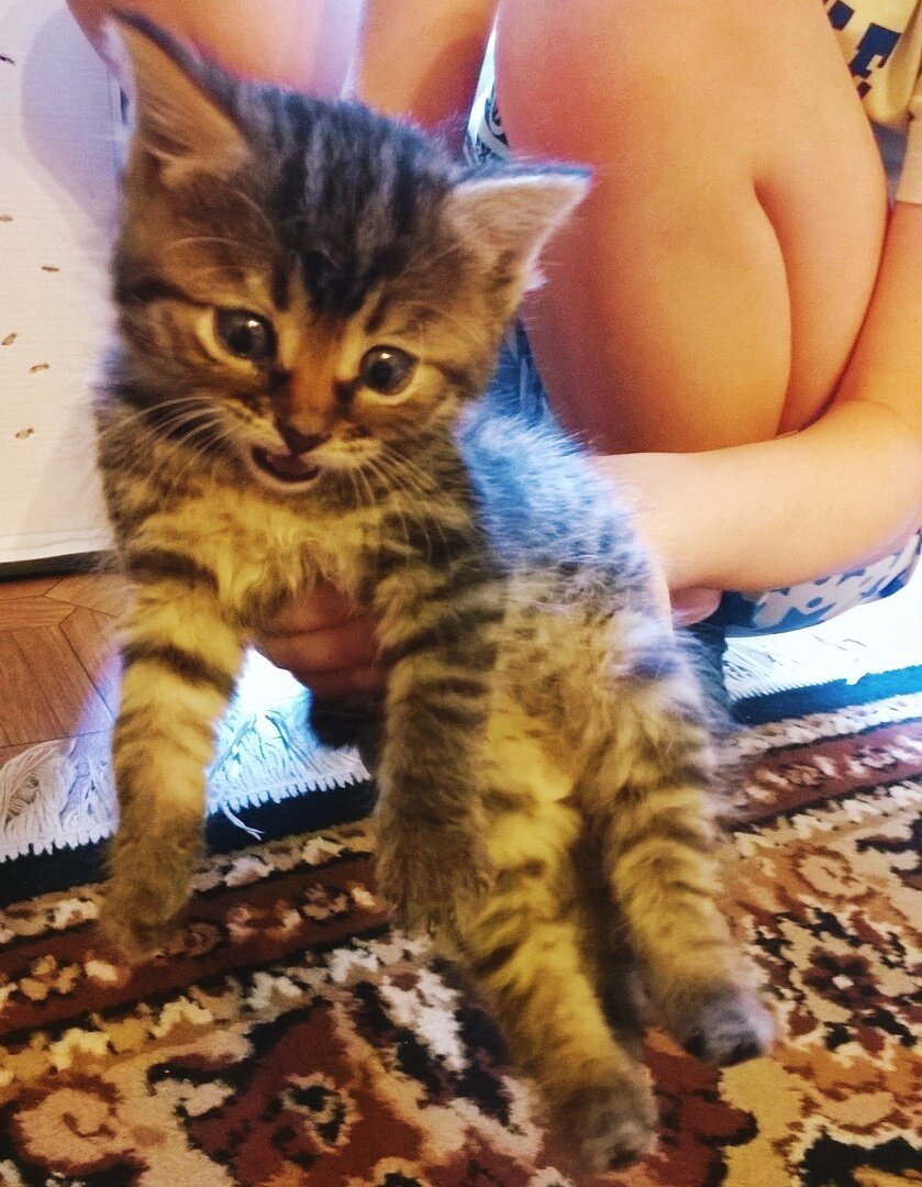 Фото автора