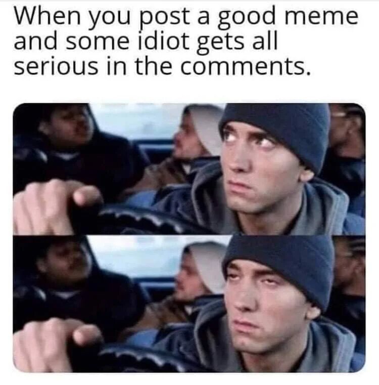Когда ты постишь хороший мем, и какой-то идиот начинает занудствовать в комментах.