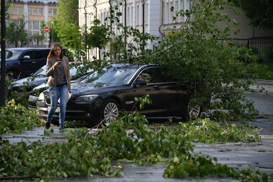     Во время стихии нельзя стоять рядом с деревьями и слабоукрепленными конструкциями Евгения ГУСЕВА