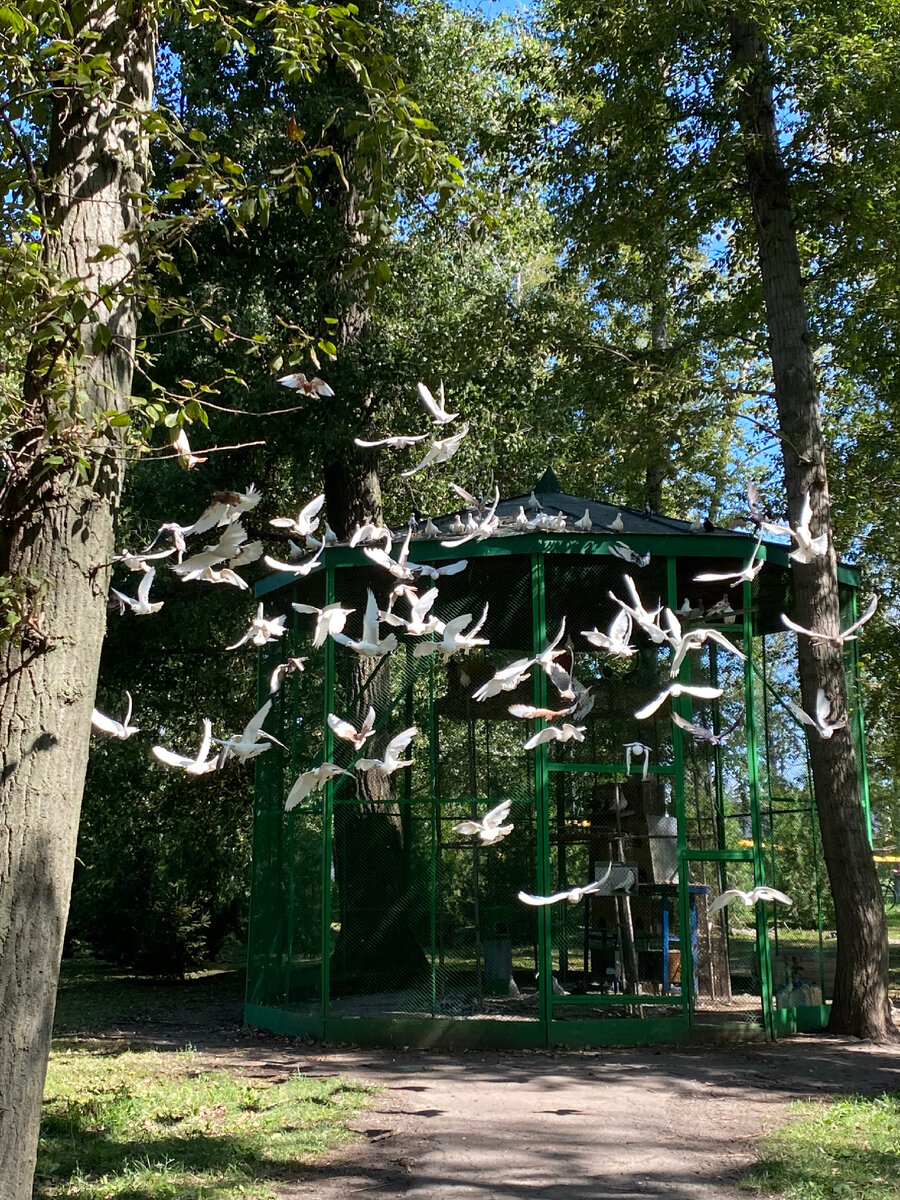 У нас в парке