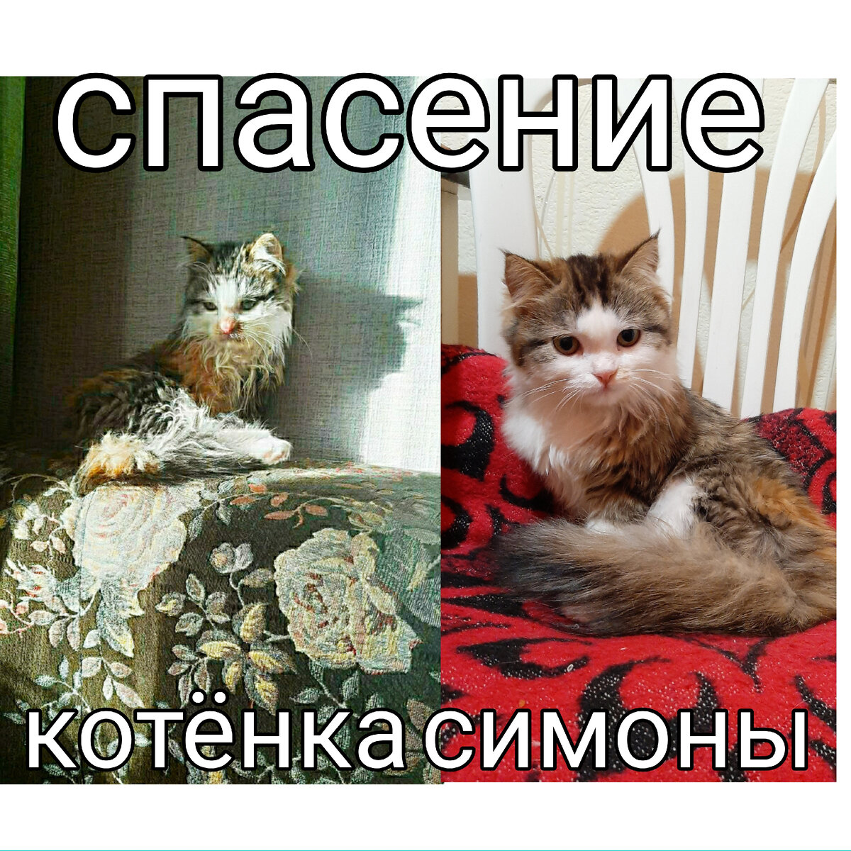 Фотоистория на нашем канале.