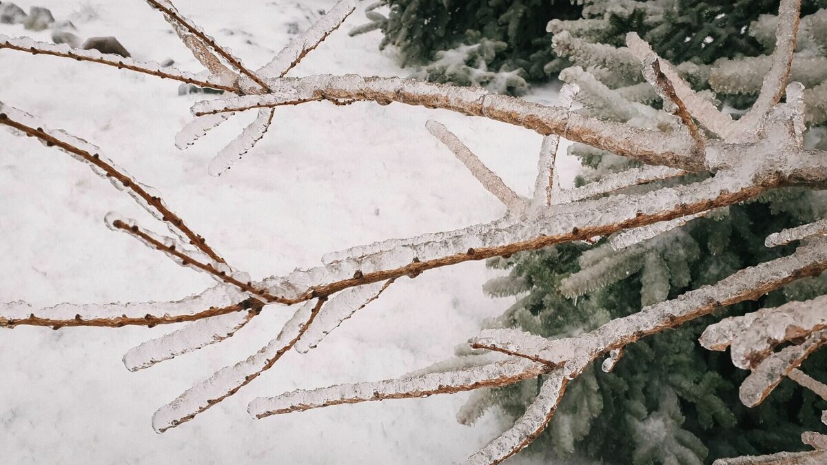     Ледяной дождь может пройти в Нижегородской области 22 ноября. Об этом сообщает РИА Новости со ссылкой на специалиста центра погоды «Фобос» Евгения Тишковца.