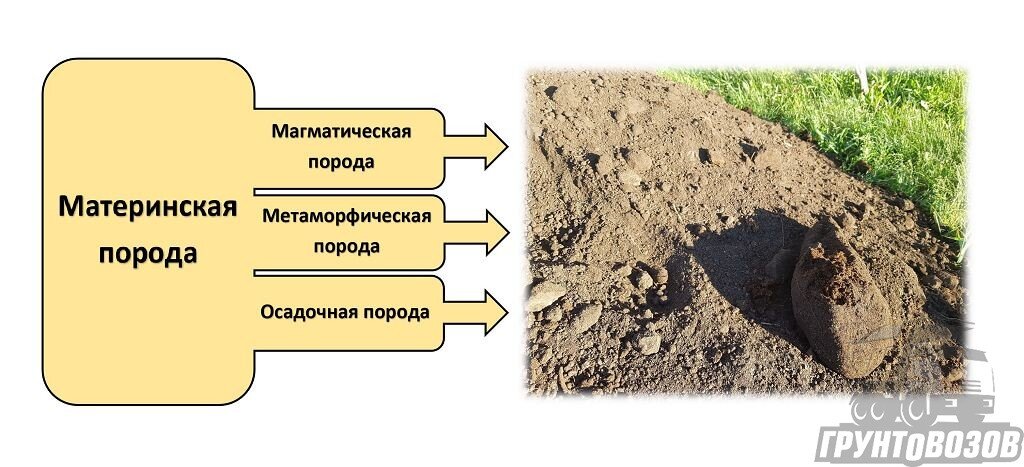 Какая порода почвообразующая. Почвообразующие породы. Минералогический состав почв и почвообразующих пород.. Минеральный грунт. Почвообразующие факторы грунтовые воды.