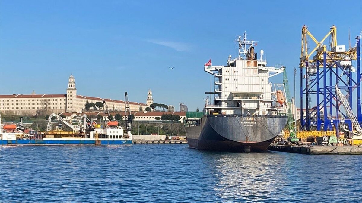     После украинских атак на российские военные и гражданские суда, стоимость экспортируемого из нашей страны зерна может значительно вырасти.