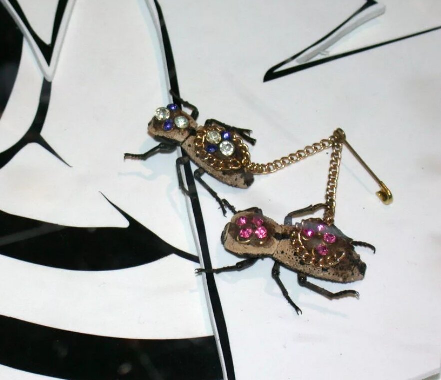 Фото из интернета