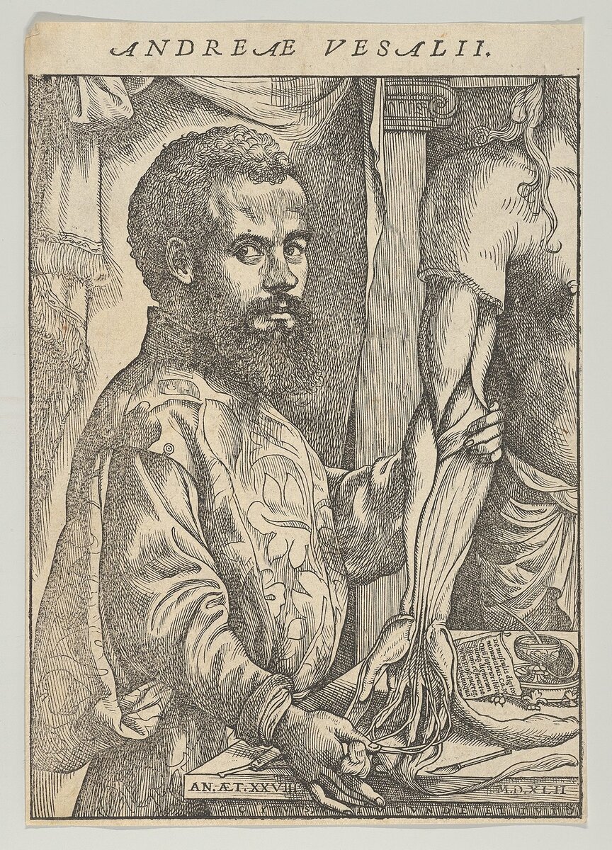 Рис. 1 - Андреас Везалий (31.12. 1514 - 16.10.1564)