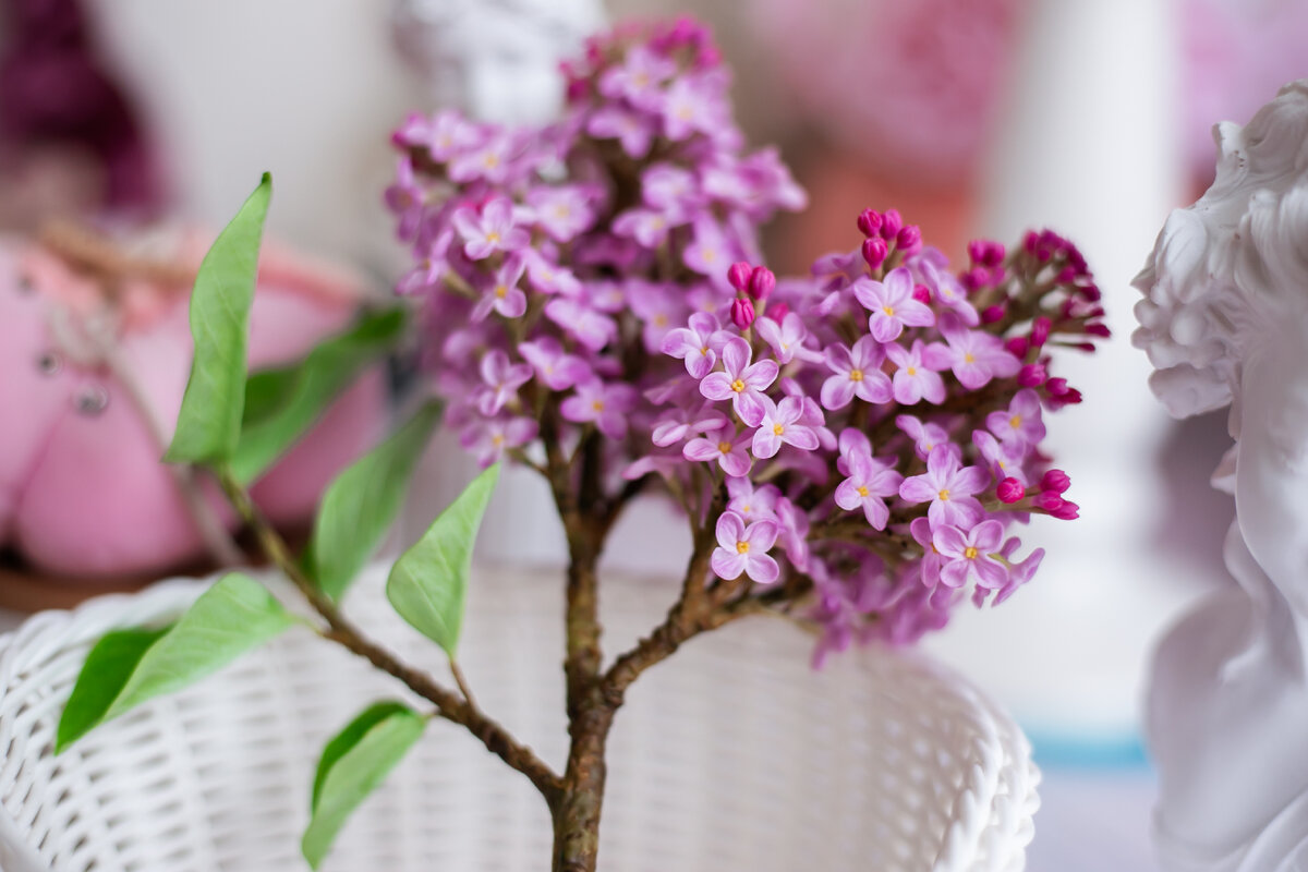 Сирень из холодного фарфора. Работа Марии Картавых. Фото: Юлия Сашнева