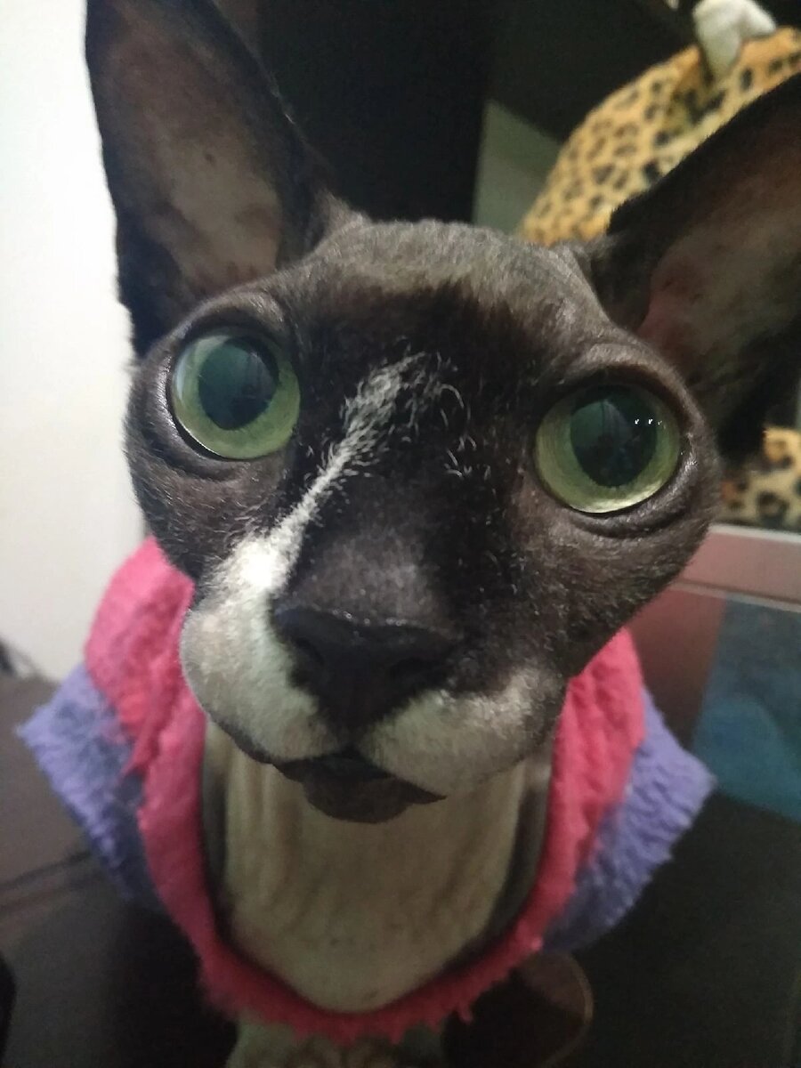 Из семейного архива