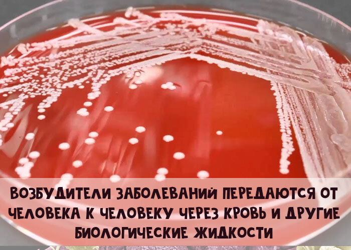 Calorizator.ru