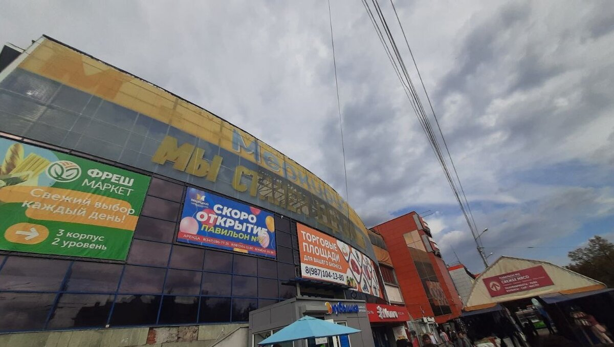 Фото: Надежда Валитова / mkset.ru