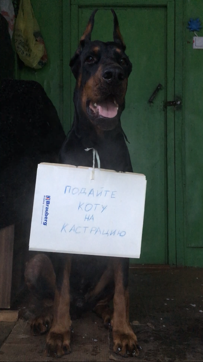 Я нашёл для себя решение