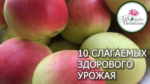 10 СЕКРЕТОВ ЗДОРОВОГО УРОЖАЯ ЯБЛОК