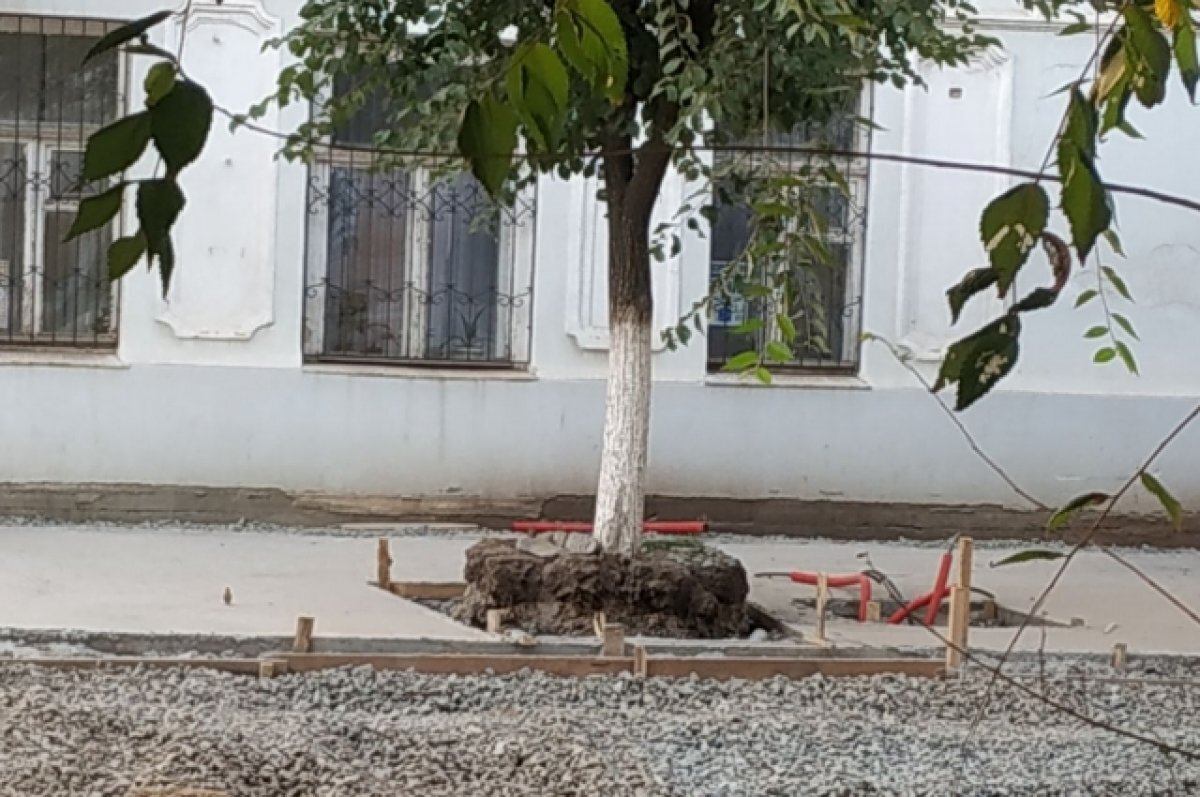    Улица Советская превращается из туристического центра в трущобы