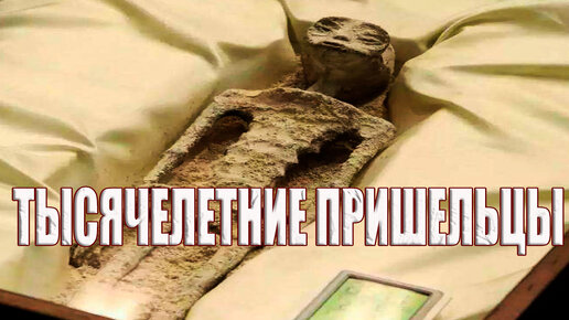 Они прилетели на Землю 1000 лет назад. Власти Мексики показали всему миру мумии древних пришельцев