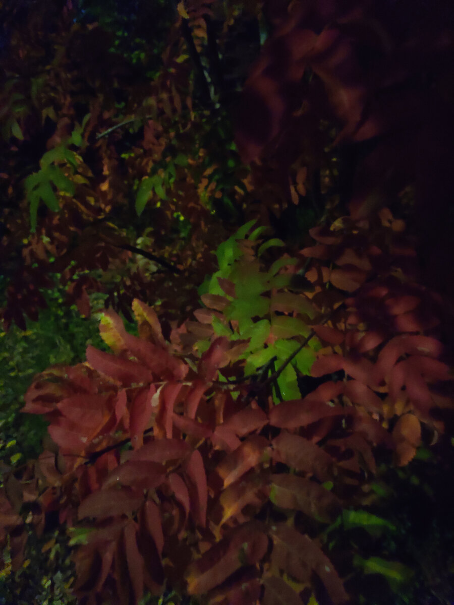 Жаль, что темно.