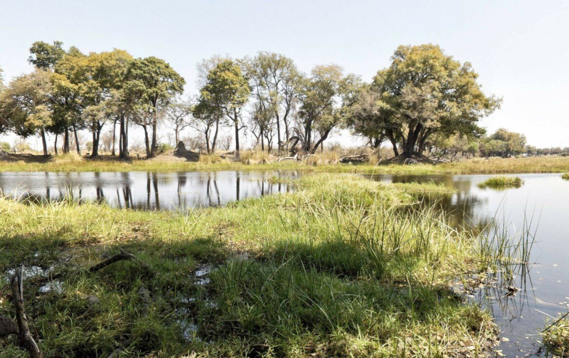 Okavango обзор. Река Окаванго. Дельта Окаванго Ботсвана. Ботсвана Лимпопо. Ботсвана природа.