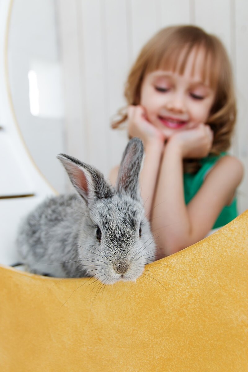 https://www.pixabay.com/ru/photos/кролик-заяц-ребенок-девочка-студия-3660676/
