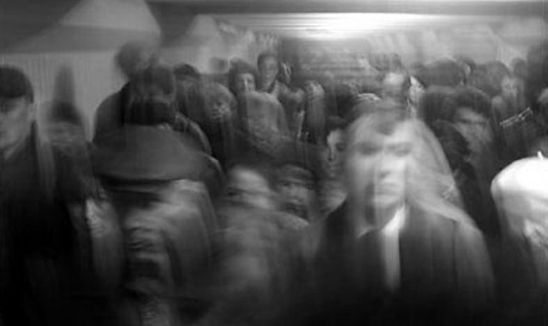 фото из интернета