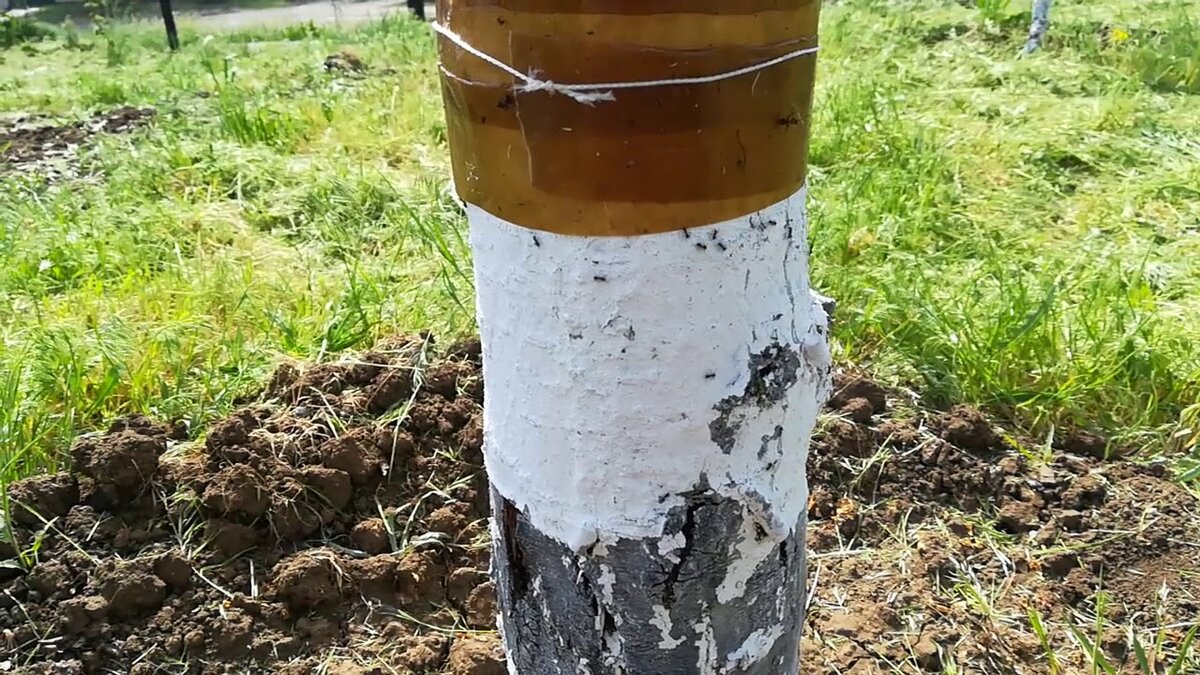 Источник фото i.ytimg.com