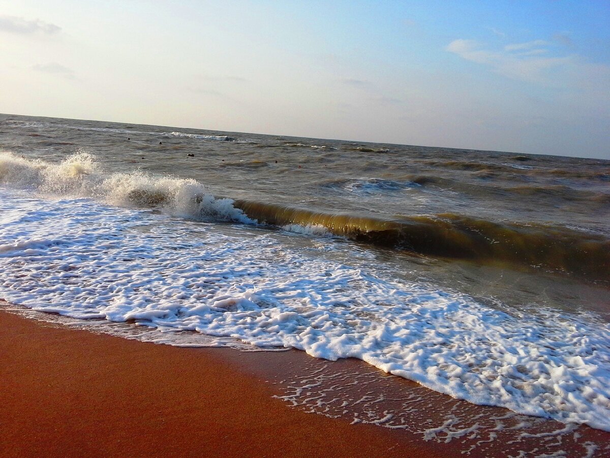 Морской уж азовское море фото