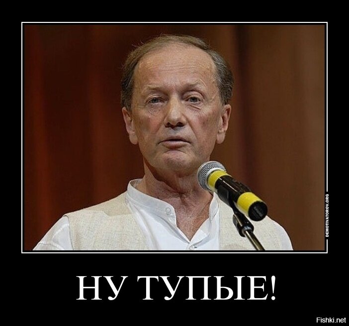 М.Задорнов. Картинка взята из сети