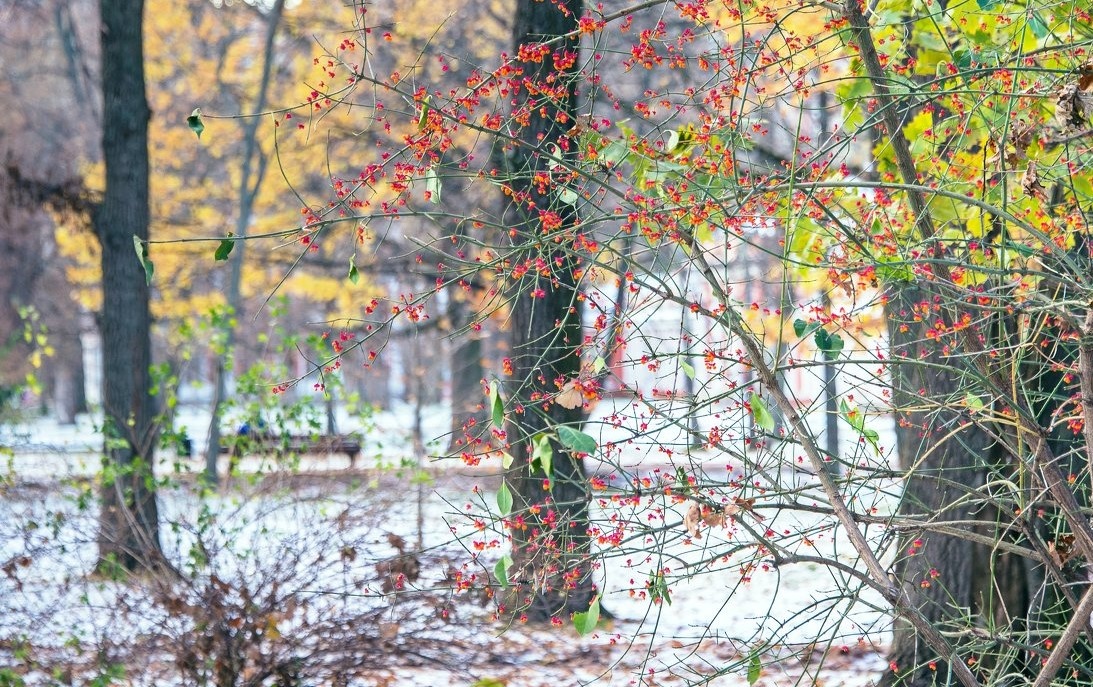 фото яндекс картинки