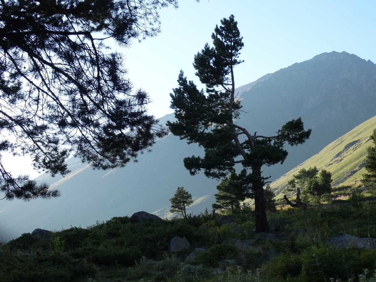 Красиво же!