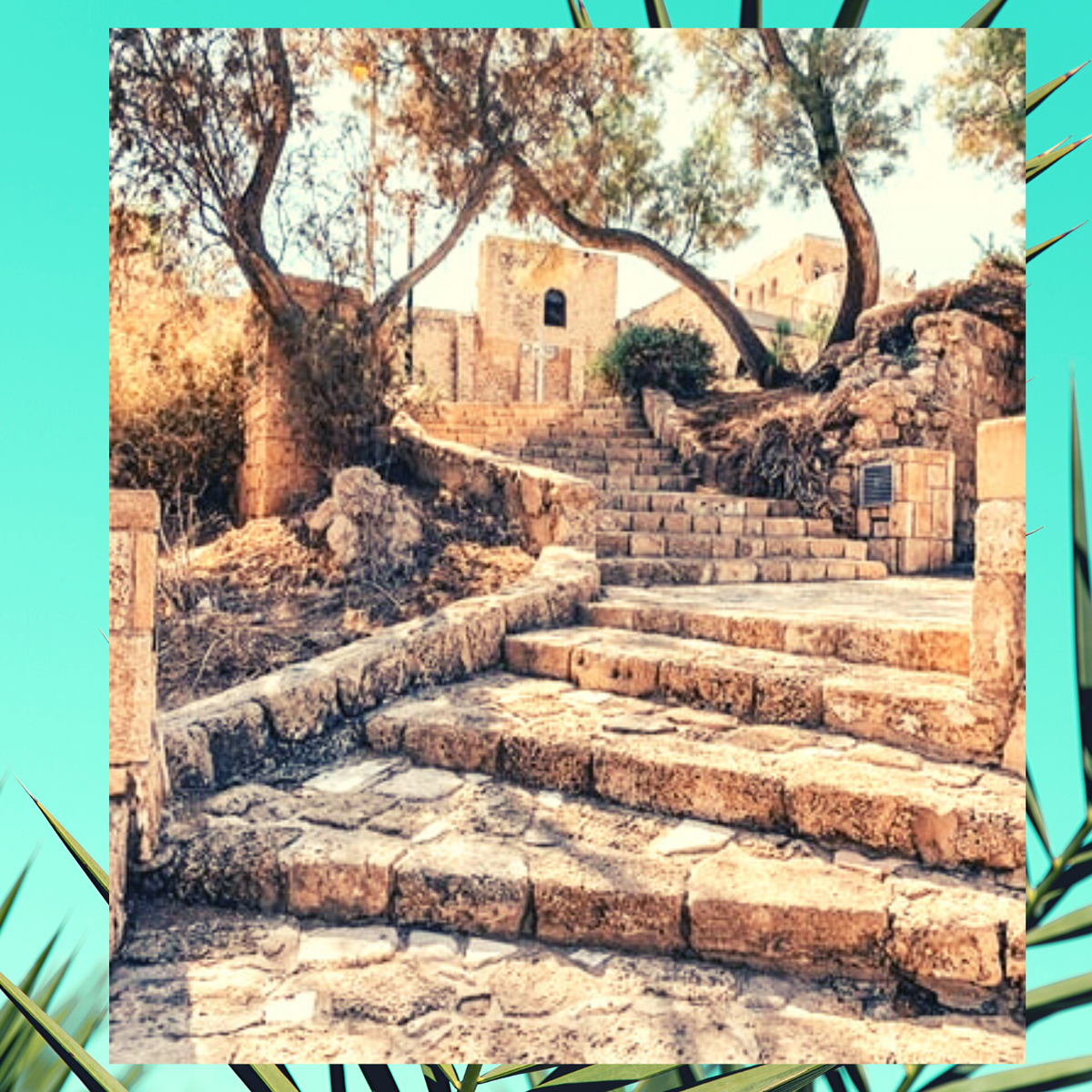 Ресторан "Алладин", Тель-Авив. 