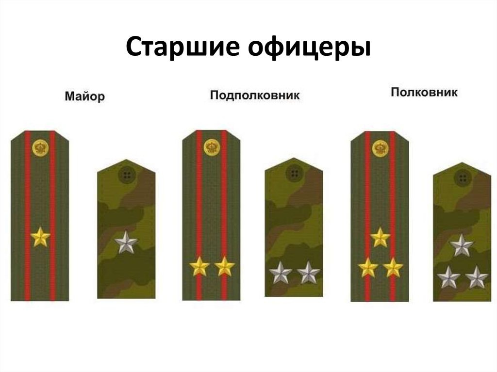 Погоны, воинские звания и знаки Иллюстрация на белом фоне