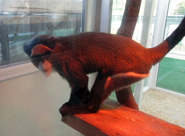 Фото А. Бондаря, руководителя «Школы юнкоров».