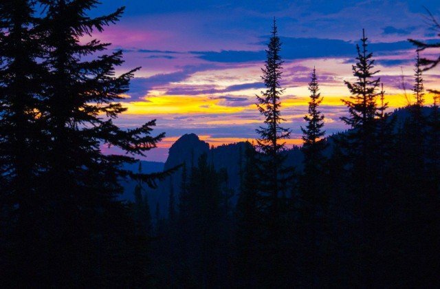 Фото из свободного доступа "Яндекс-картинки"