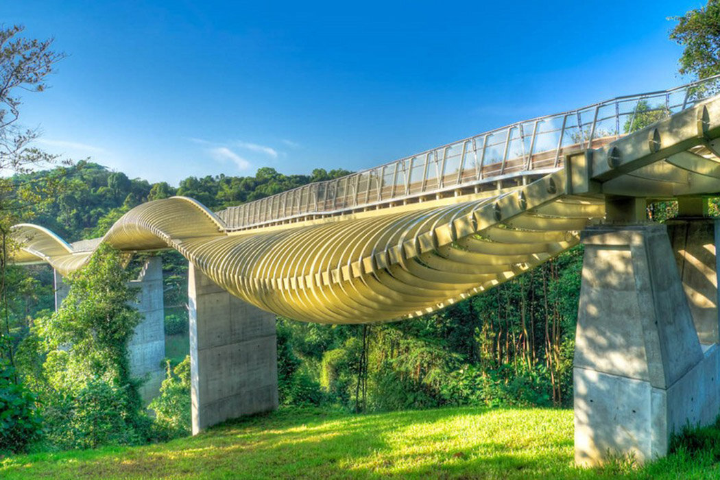 Мост Henderson Waves в Сингапуре