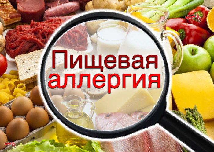 https://yandex.ru/images/search?ih=600&iw=1000&text=%D0%BF%D0%B8%D1%89%D0%B5%D0%B2%D0%B0%D1%8F+%D0%B0%D0%BB%D0%BB%D0%B5%D1%80%D0%B3%D0%B8%D1%8F+%D1%8D%D1%82%D0%BE&pos=0&isize=custom&rpt=simage&img_url=https%3A%2F%2Fi.pinimg.com%2Foriginals%2Fbb%2Faa%2Fa4%2Fbbaaa457eb0d24db36b685ed7f6290d0.jpg&from=tabbar