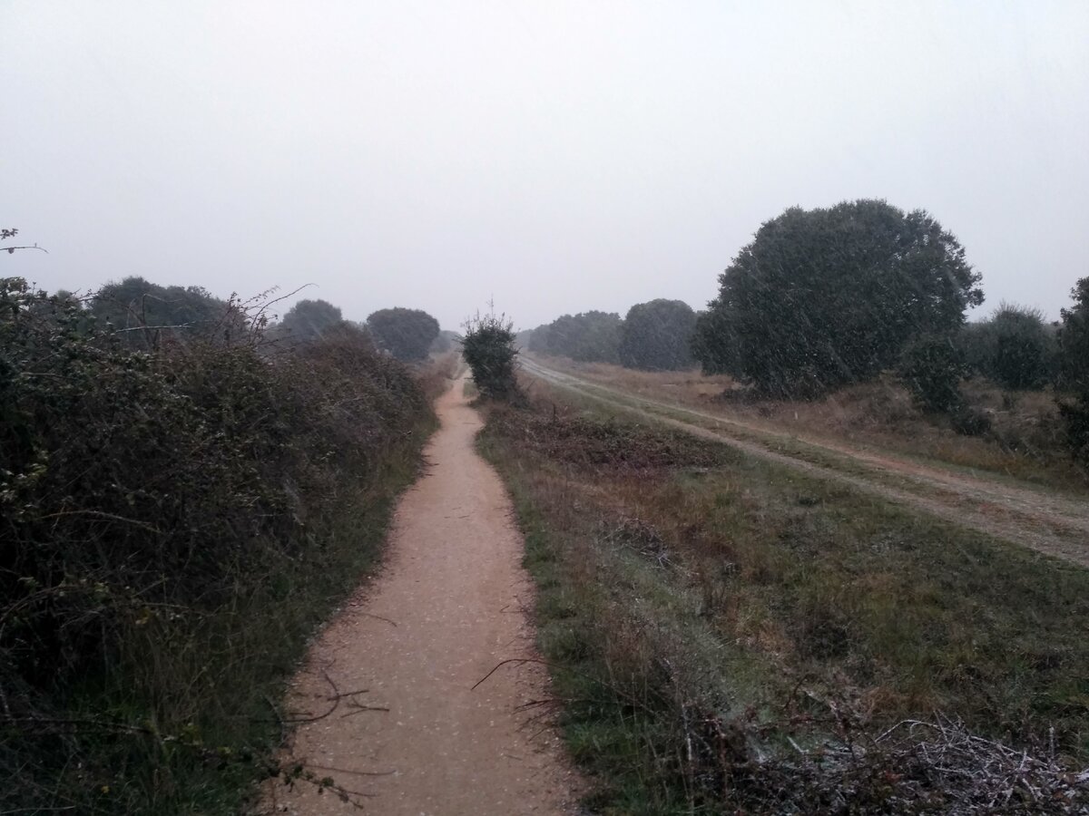 Падал лёгкий сырой снег