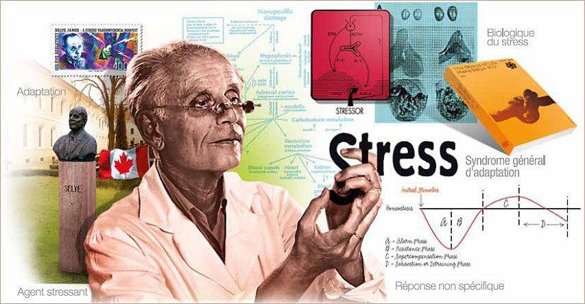 Ганс Селье, https://psyfactor.org/