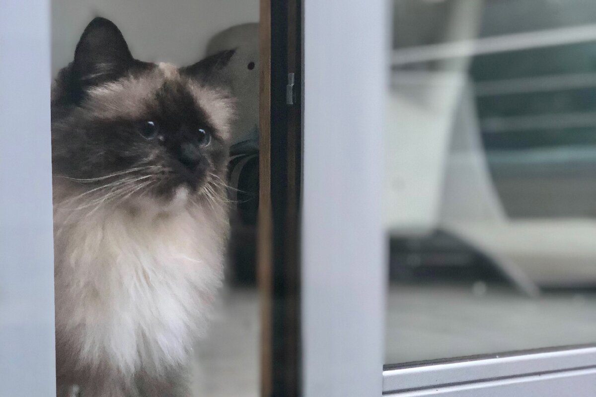 Потеря интереса к ранее любимым занятиям