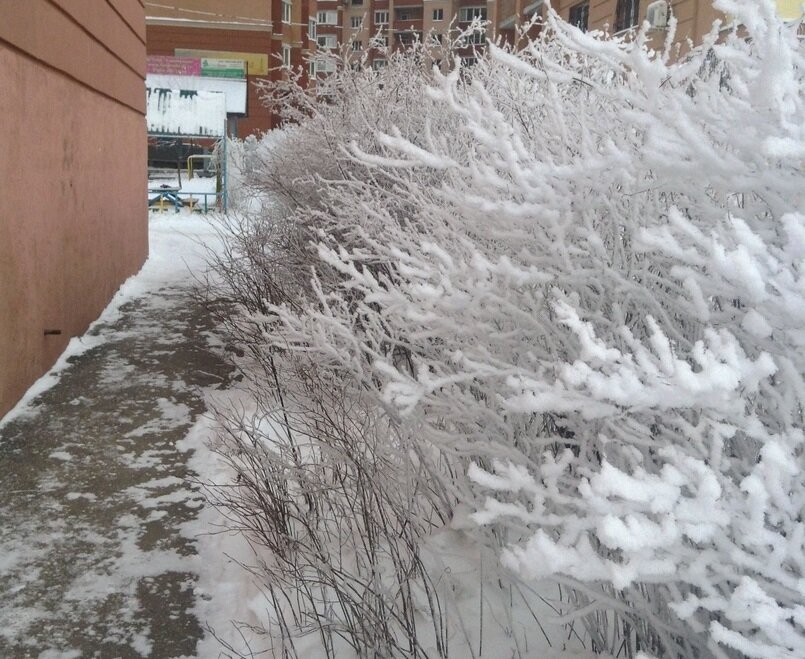 Иней повсюду:)