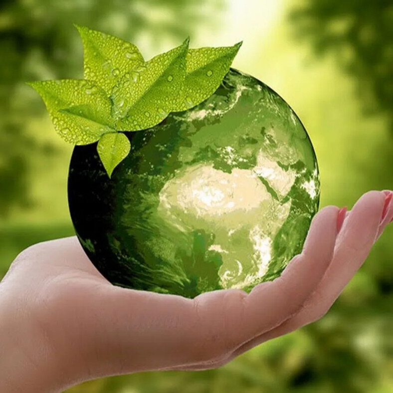 Земля на ладони, вспоминая экологию?