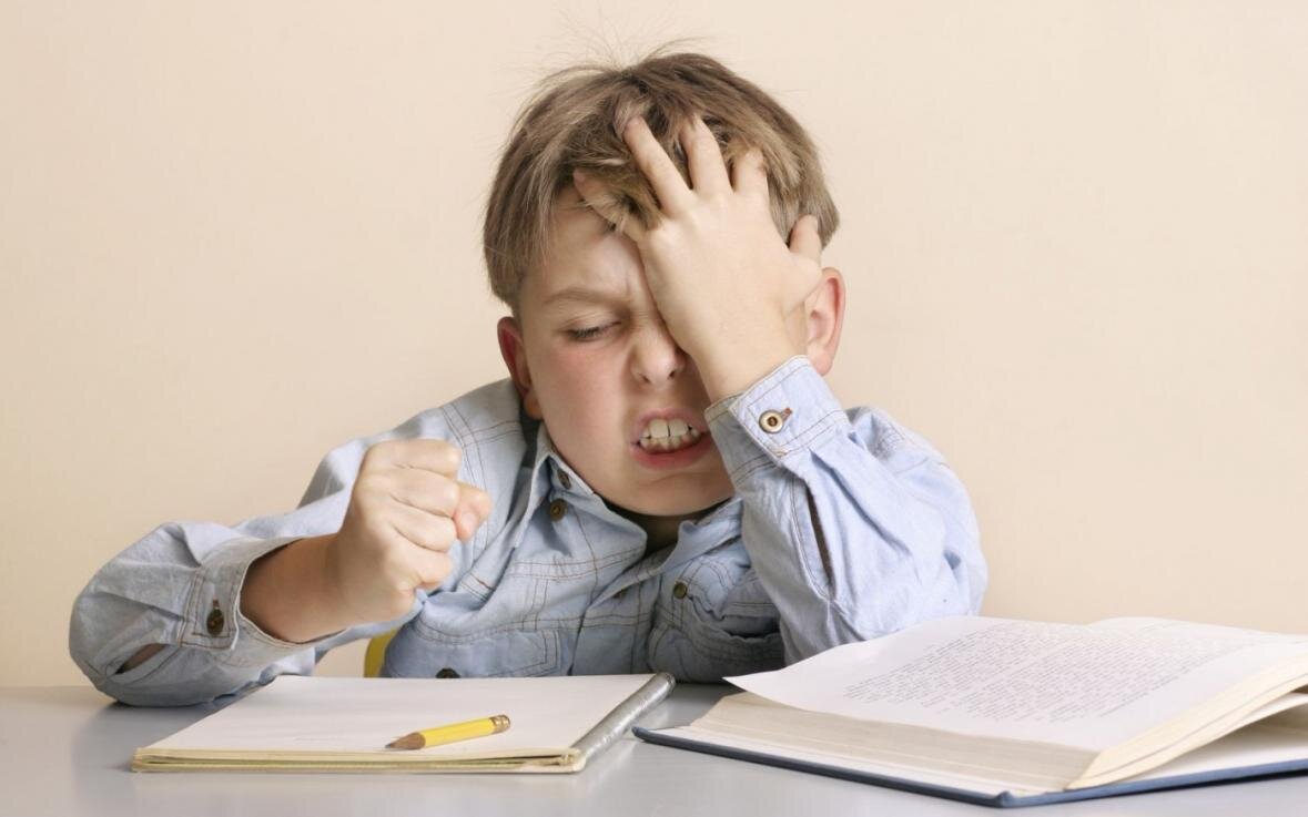 взято из открытых источников