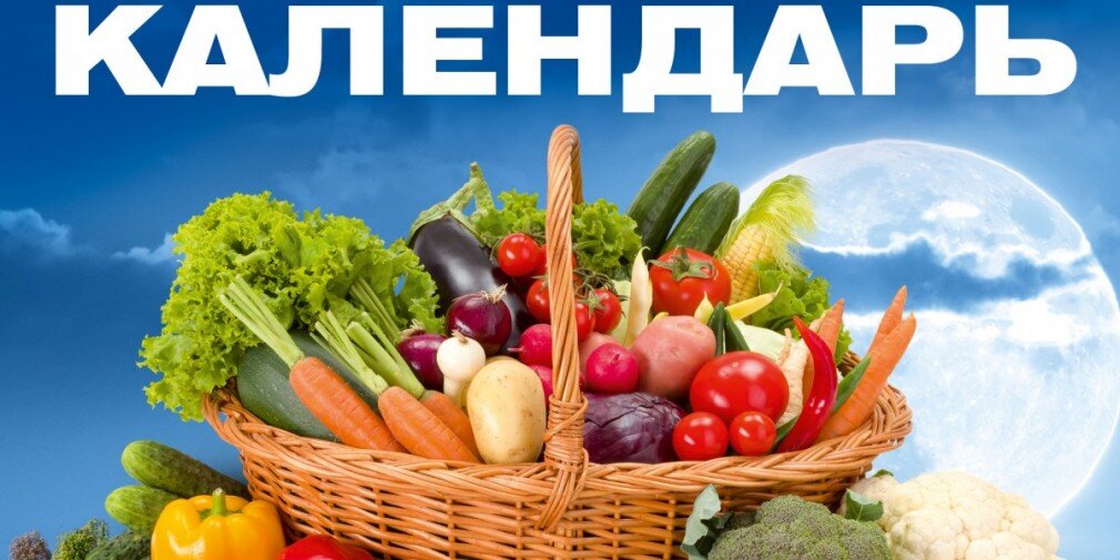 Хорошего урожая Вам.